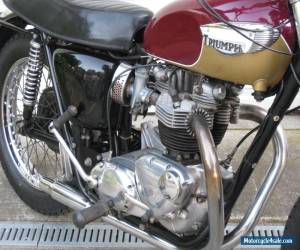 Motorcycle 1967 Triumph Bonneville for Sale