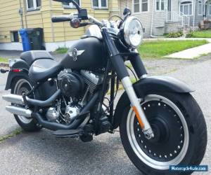 Motorcycle 2010 Harley-Davidson Softail for Sale