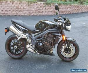 2010 Triumph Speed Triple for Sale