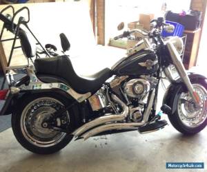 Harley Davidson for Sale