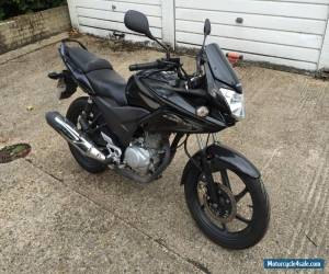 Motorcycle Honda CBF125, 2010, 60plate, Low mileage for Sale