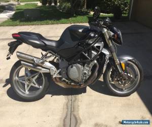 2004 MV Agusta Brutale for Sale