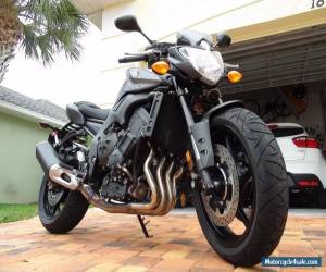 Motorcycle 2013 Yamaha FZ for Sale