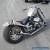 2015 Harley-Davidson Shovelhead/rigid for Sale