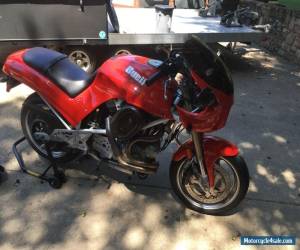 Motorcycle 1995 Buell Thunderbolt for Sale