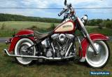 1986 Harley-Davidson Softail for Sale