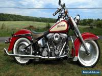 1986 Harley-Davidson Softail