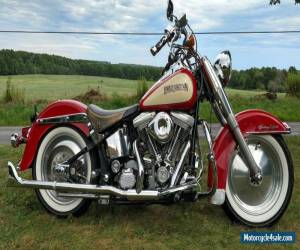 Motorcycle 1986 Harley-Davidson Softail for Sale