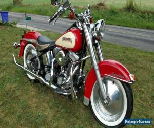 Motorcycle 1986 Harley-Davidson Softail for Sale