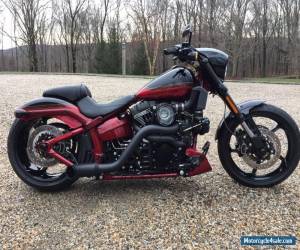 2017 Harley-Davidson Softail for Sale