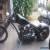 2005 Harley-Davidson Carolina custom for Sale