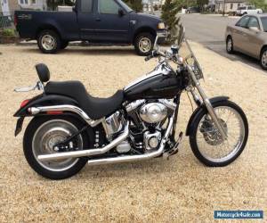 Motorcycle 2000 Harley-Davidson Softail for Sale