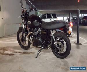 Motorcycle 2016 Triumph Bonneville for Sale