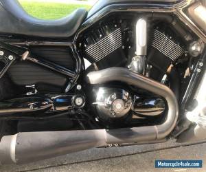 Motorcycle 2008 Harley-Davidson V-ROD for Sale