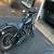 2005 Harley-Davidson Softail for Sale