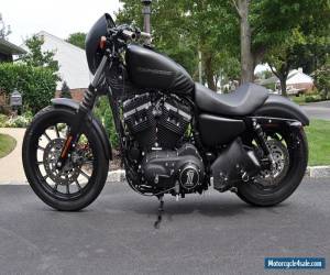 Motorcycle 2010 Harley-Davidson Sportster for Sale