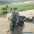 2005 Harley-Davidson Softail for Sale