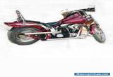 1987 Harley-Davidson Softail for Sale