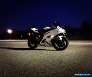 Motorcycle 2008 Yamaha YZF-R for Sale