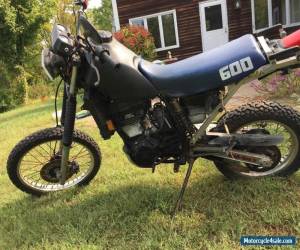 Motorcycle 1984 Kawasaki KLR for Sale