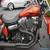 2011 Harley-Davidson Other for Sale