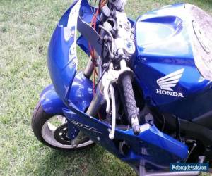 Motorcycle Honda 05 CBR 600 stunt bike for Sale