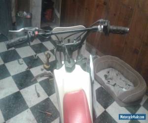 Motorcycle 1985 Yamaha YZ for Sale