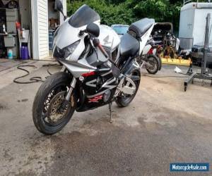 Motorcycle 2004 Honda 954rr for Sale