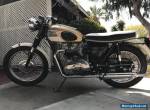 1964 Triumph Bonneville for Sale