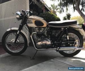 Motorcycle 1964 Triumph Bonneville for Sale