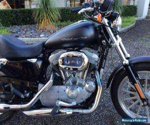 Motorcycle Harley Davidson sportster  very low KLMS for Sale