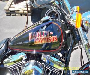 Motorcycle 1987 Harley-Davidson FXR for Sale