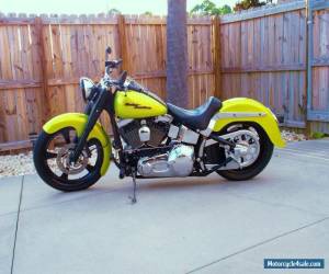 Motorcycle 2002 Harley-Davidson Softail for Sale