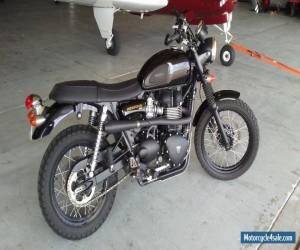 2015 Triumph Bonneville for Sale