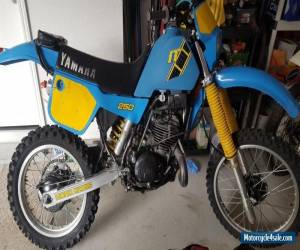 Motorcycle 1983 Yamaha IT250 for Sale