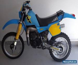 Motorcycle 1983 Yamaha IT250 for Sale