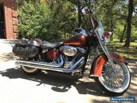 2009 Harley-Davidson Softail