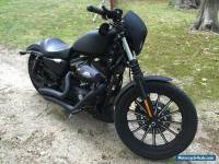 2009 Harley-Davidson Sportster