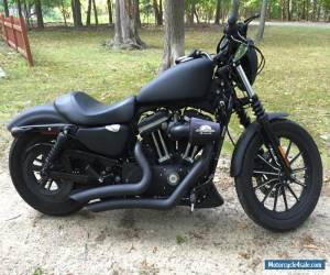 Motorcycle 2009 Harley-Davidson Sportster for Sale