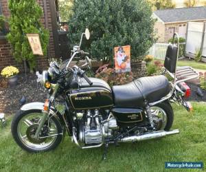 Motorcycle 1979 Honda Gold Wing for Sale