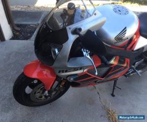 Motorcycle 2000 Honda RC51 for Sale