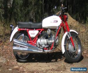 Motorcycle 1972 Moto Guzzi Nuovo Falcone for Sale