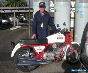 Motorcycle 1972 Moto Guzzi Nuovo Falcone for Sale