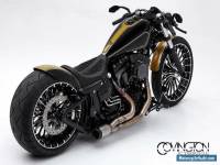 2014 Harley-Davidson Softail