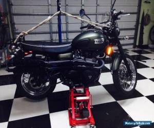 Motorcycle 2010 Triumph Triumph Scrambler for Sale