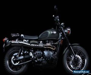 Motorcycle 2010 Triumph Triumph Scrambler for Sale