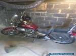 1986 Honda Shadow for Sale