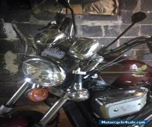 Motorcycle 1986 Honda Shadow for Sale