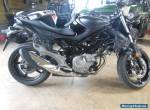 2013 Suzuki GLADIUS SFV650 for Sale