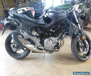 2013 Suzuki GLADIUS SFV650 for Sale